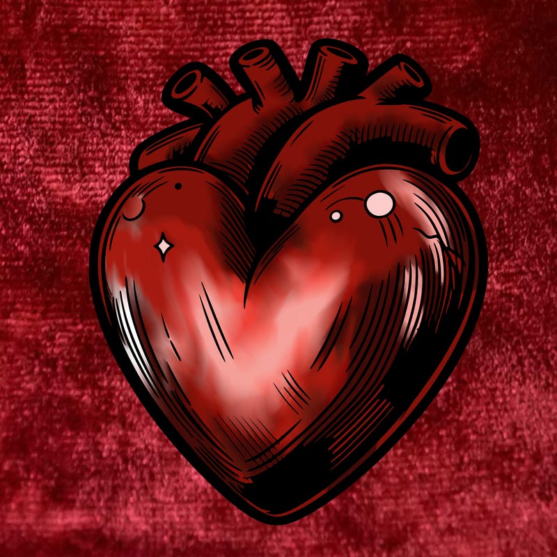 realistic heart