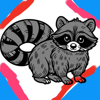 raccoon