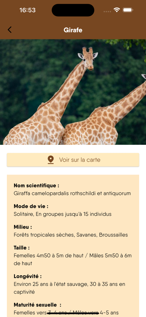 Scheda informativa educativa per una giraffa nell'app mobile WOW Thoiry ZooSafari