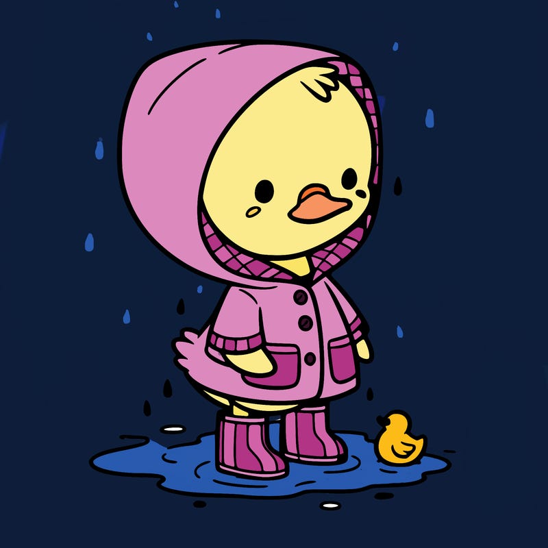baby duck in a rain coat and boots, in a puddle while it’s raining