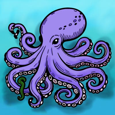 octopus