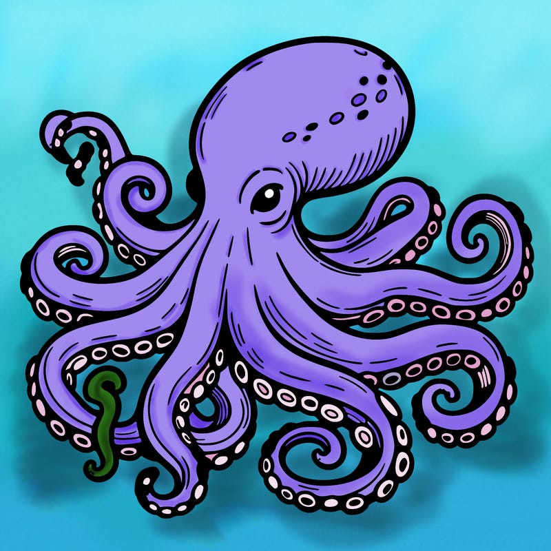 octopus
