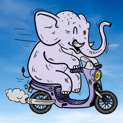 animals_21