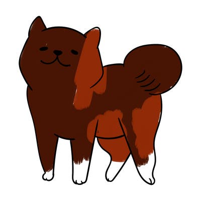 animals_29