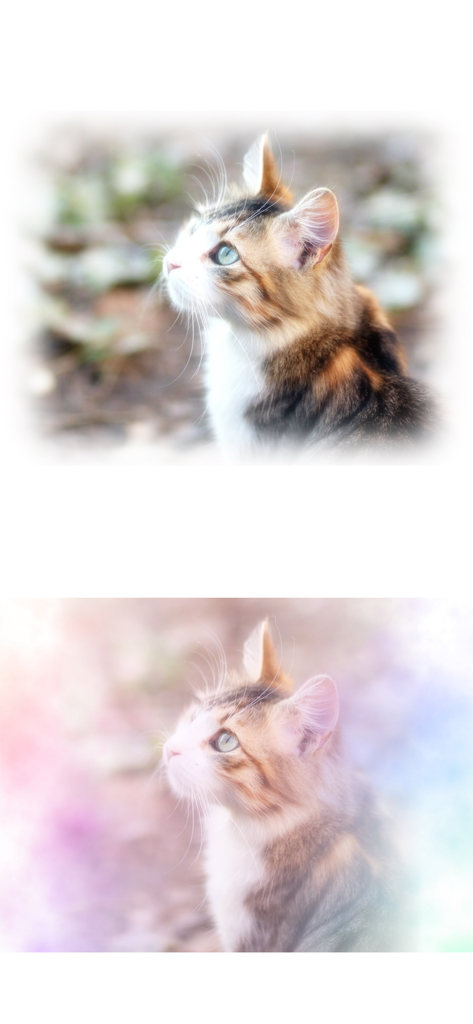 WataameCamera - Vergleich eines Katzenfotos mit einer weißen Vignette und einem weichen, farbenfrohen Pastellfilter