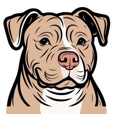 pitbull