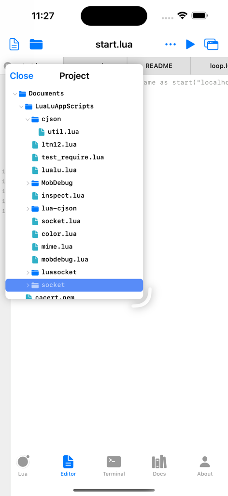 Project file manager interface in Lua IDE displaying folders and script files