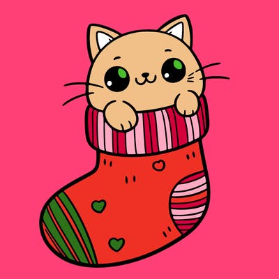 cute cat in a sock
