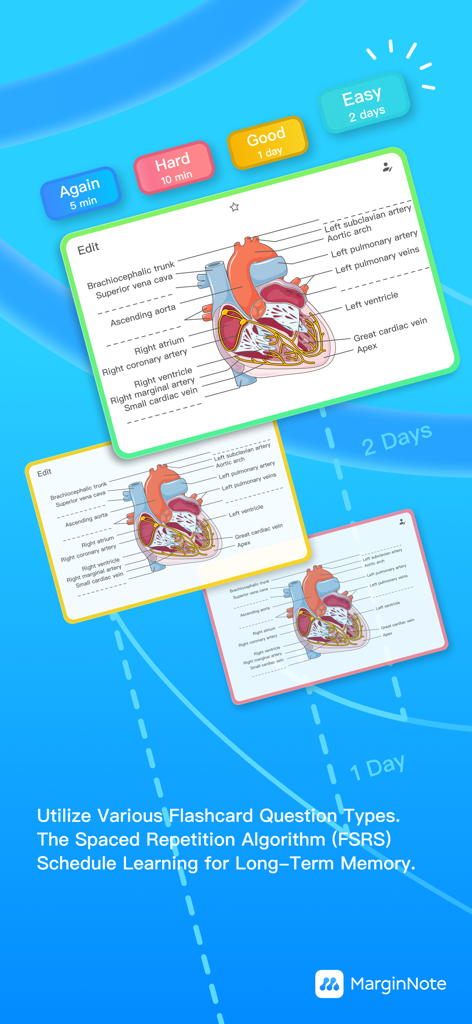 MarginNote 4: AI Notes·MindMap - MarginNote 4 flashcards showing a heart anatomy diagram and spaced repetition review buttons.