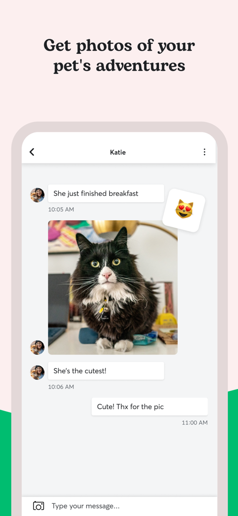 L'interface de chat de l'application Rover montre un pet sitter envoyant une photo de chat au propriétaire de l'animal.