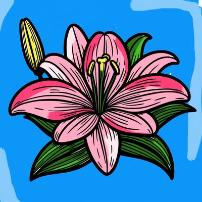 lily flower