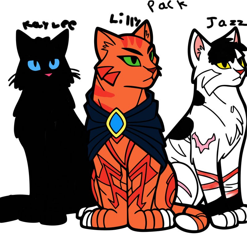 warrior cats