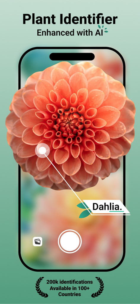 Jungle: Plant Identification - AI plant identifier app identifying a dahlia flower
