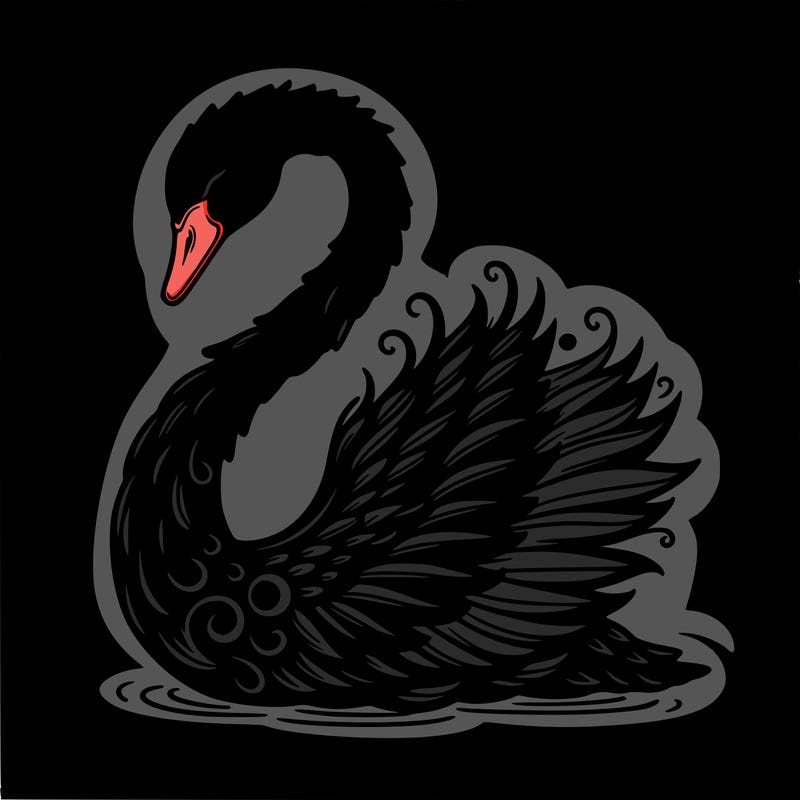 elegant black swan