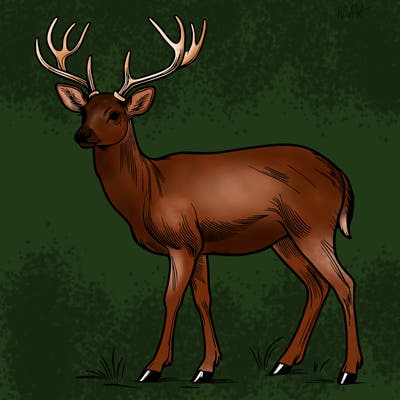 realistic deer
