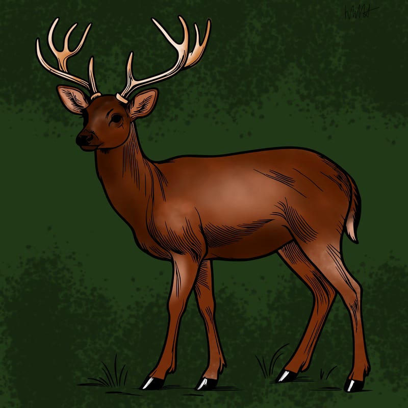 realistic deer