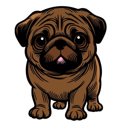 pug
