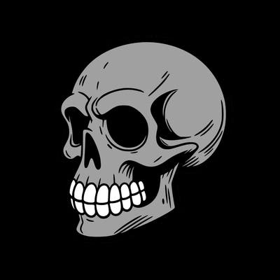 💀 scull