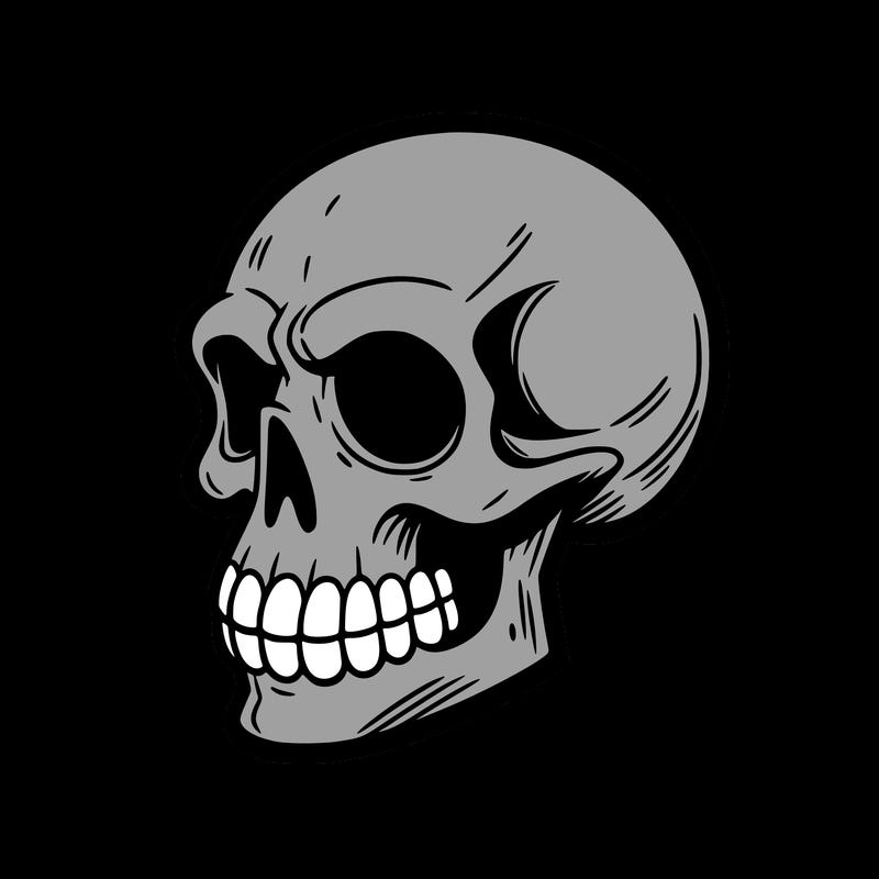 💀 scull