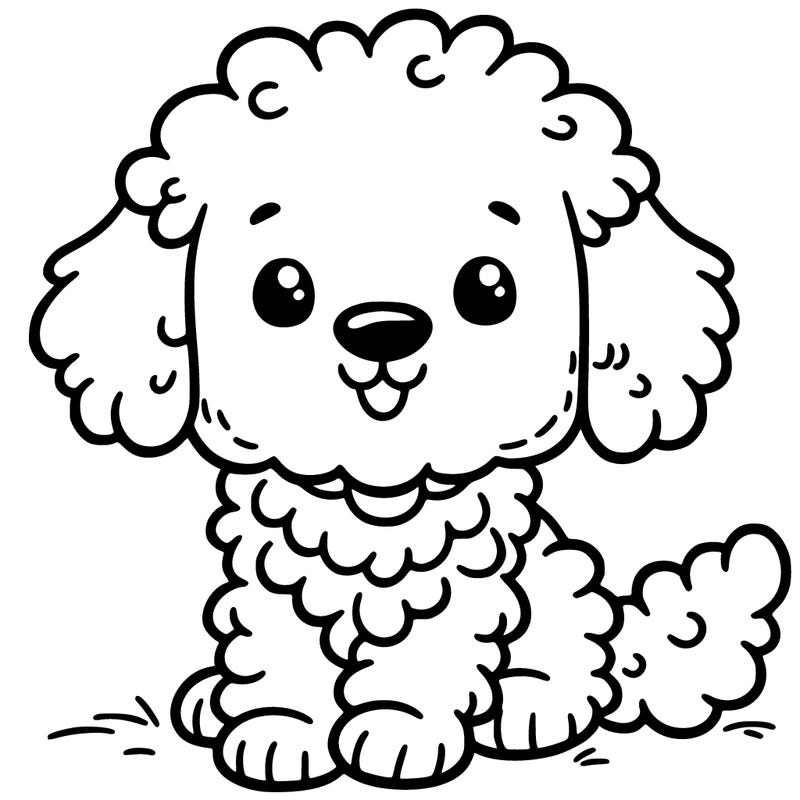 cute labradoodle