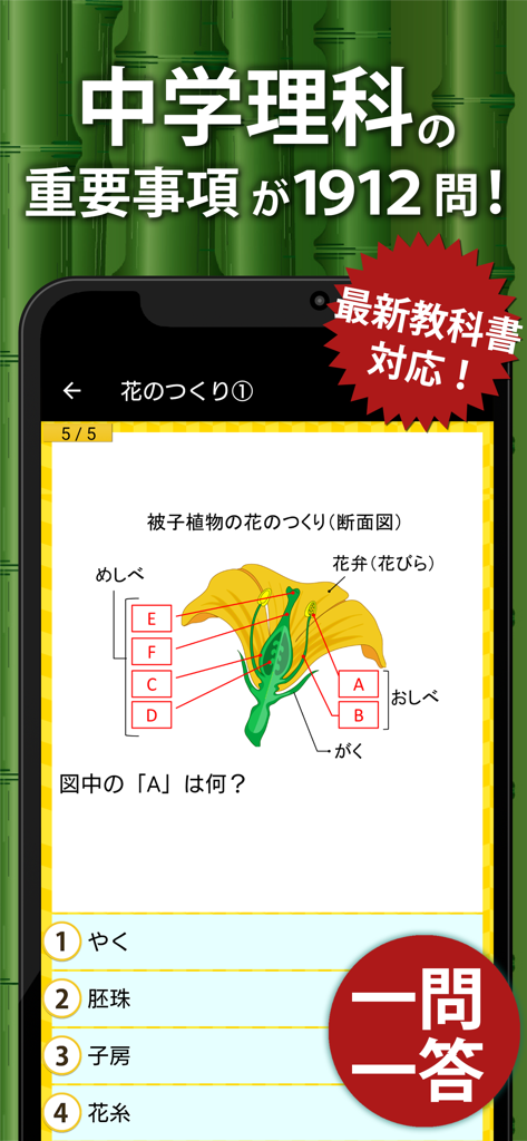 Quiz screen from the Junior High School Science app displaying a flower diagram and multiple choice answers.