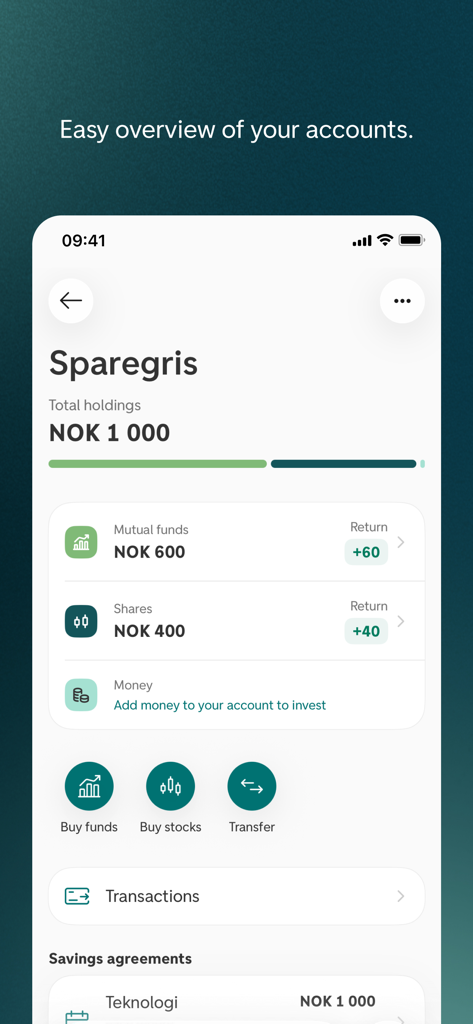 Spare - Spare app dashboard displaying a total holdings overview including mutual funds and shares