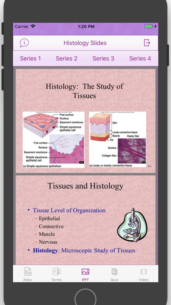Histology Cell Tissue - Apresentação de slides no aplicativo Histologia Tecido Celular explicando tipos de tecido.