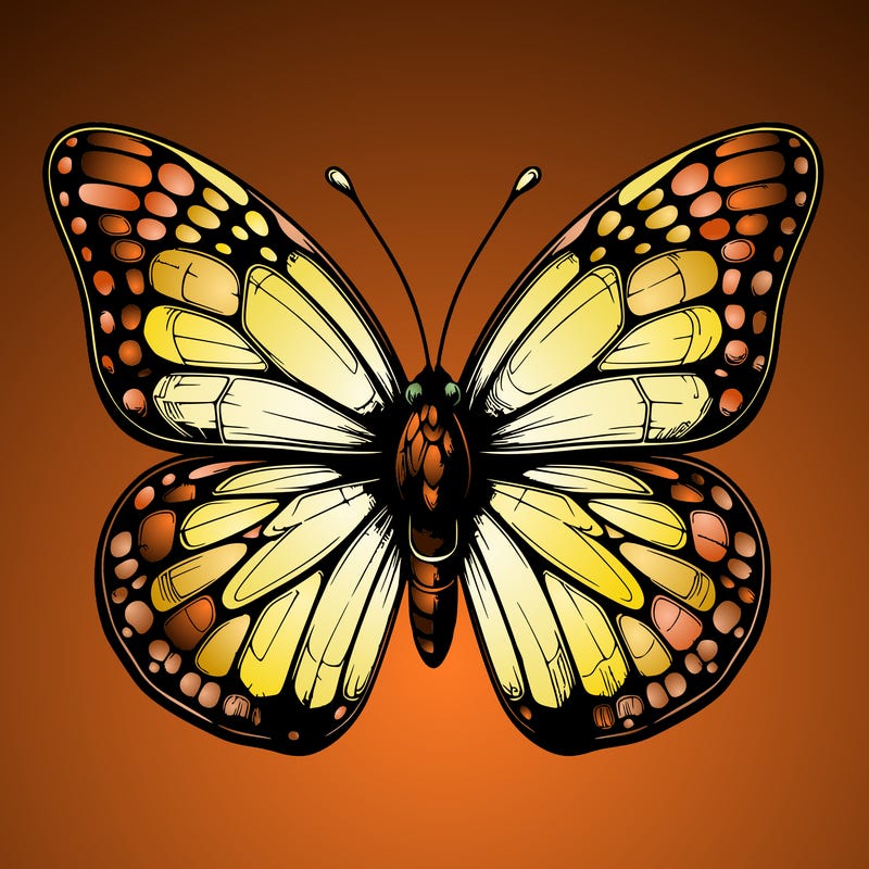 butter fly realistic