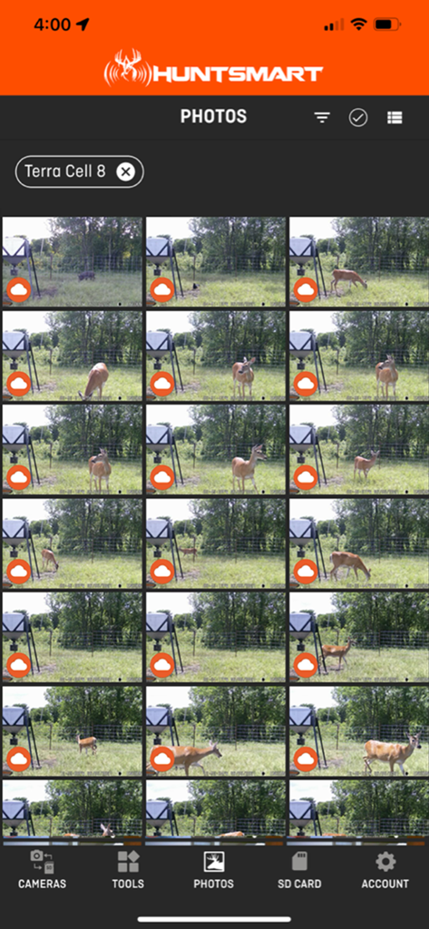 HuntSmart app interface displaying a grid of trail camera photos featuring deer in a field