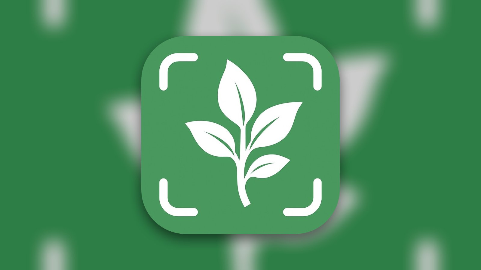 Plant Identifier: Plantia AI - Education App | MWM