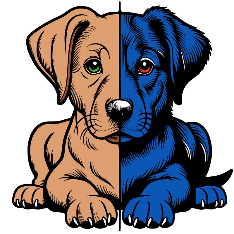 realistic dog split picture