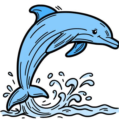 dolphin