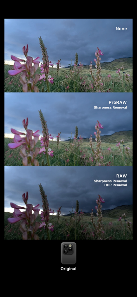 Comparaison de trois modes de traitement photo dans Dazz Cam montrant les effets de netteté et de suppression HDR sur une photo de paysage vintage.