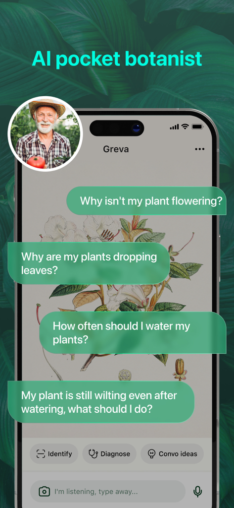 Interface de l'application PlantAI montrant un chatbot IA répondant aux questions courantes sur les soins et le diagnostic des plantes