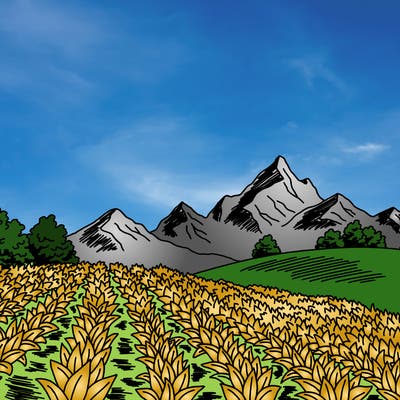 places_08