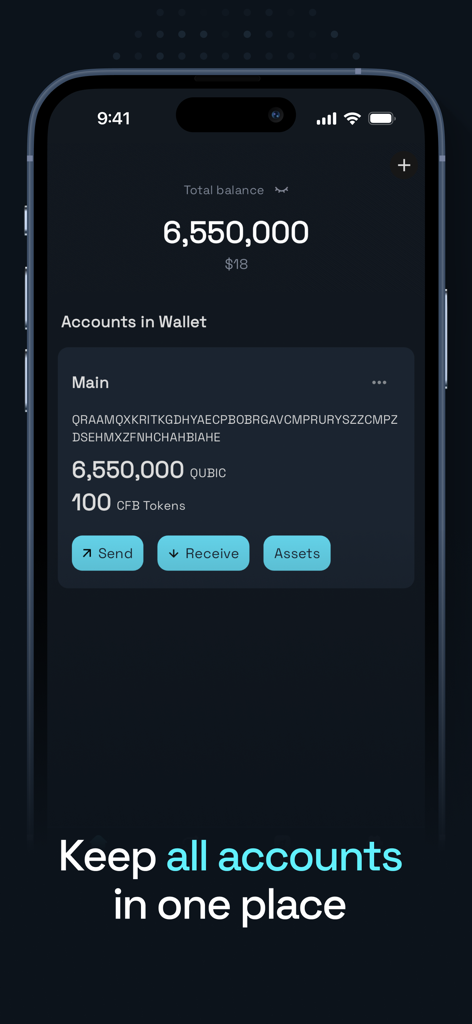 The Qubic Wallet app interface displaying the total balance and main account with send and receive buttons