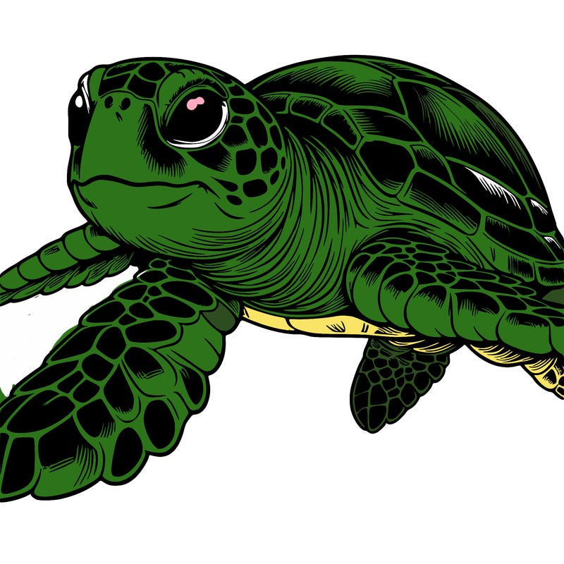 realistic sea turtle