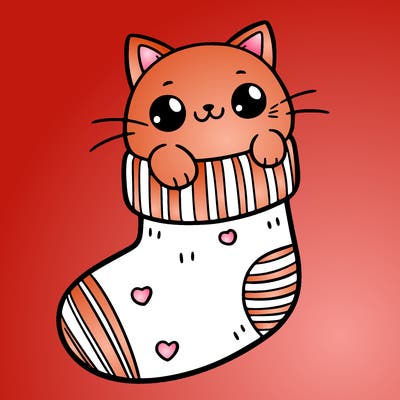 cute cat in a sock