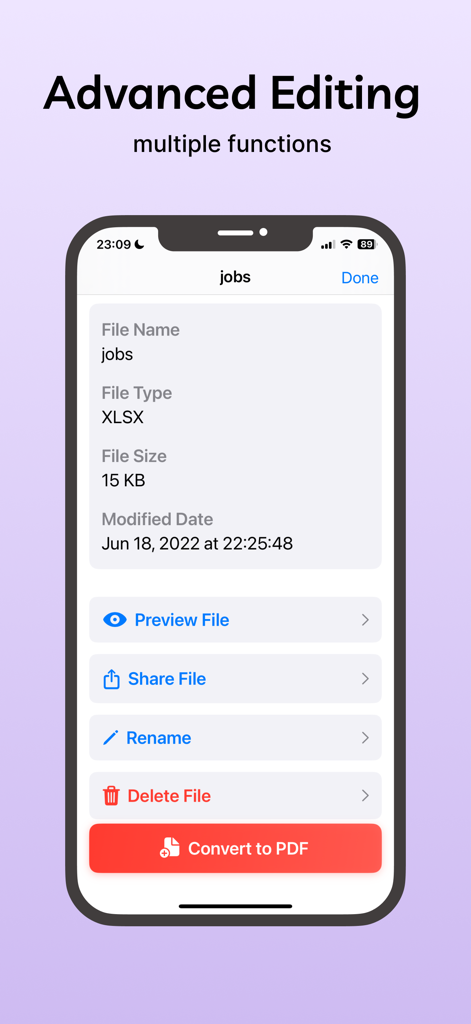 PDF Converter-Local Conversion - Mobile app interface showing file details for an Excel document with options to preview, share, rename, delete, and convert to PDF.