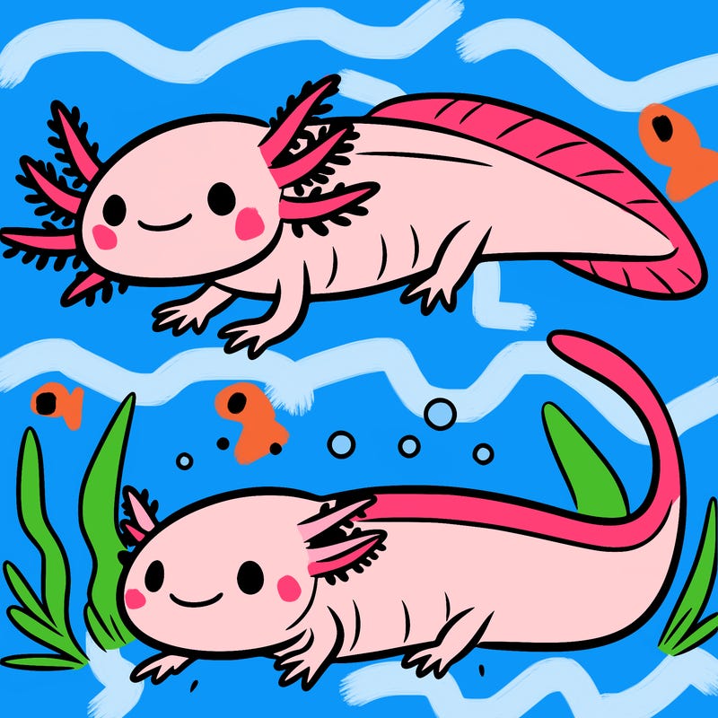axolotl