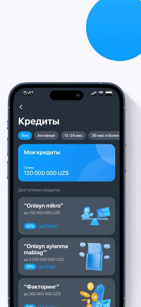 Aloqa Business 2.0 - Aloqa Business 2.0 mobile interface displaying business credit management and loan options