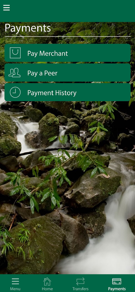 NBD MoBanking - NBD MoBanking app payments screen showing menu options for merchant and peer to peer payments over a tropical waterfall background