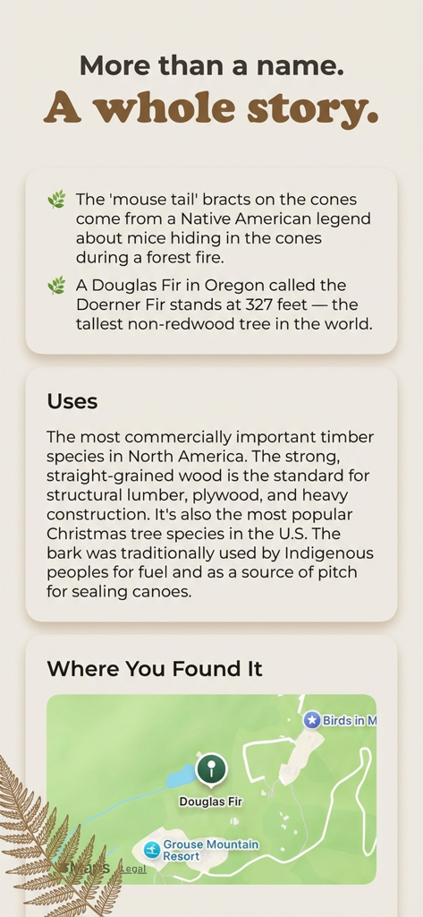 Tree Identifier - Tree ID - Mobile app screen showing tree facts, commercial uses, and a location map for a Douglas Fir identification.