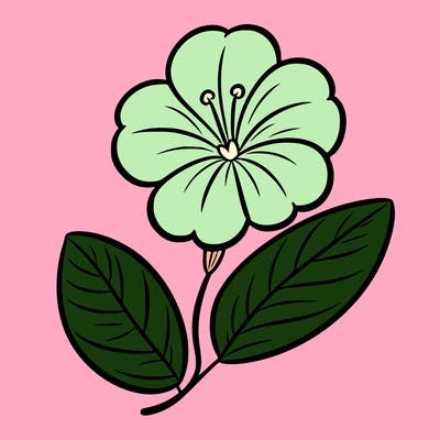 one flower