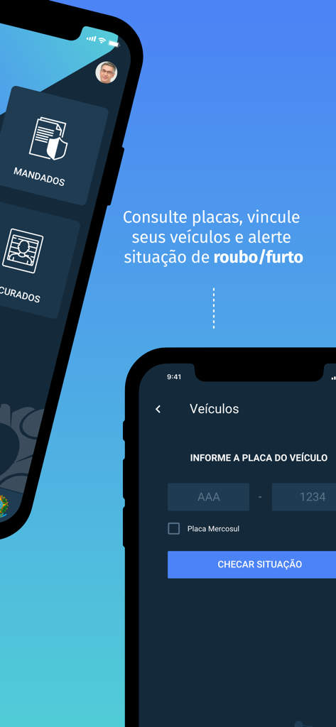 Sinesp Cidadão - Sinesp Cidadao app interface for checking vehicle theft status and public safety warrants