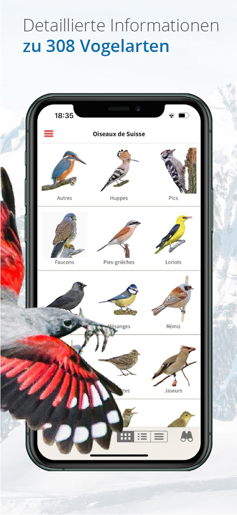 Vogelführer Birdlife Schweiz - Birdlife Schweizガイドアプリのさまざまな鳥の種のグリッドを表示するスマートフォン