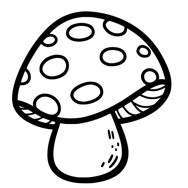 𝚖𝚞𝚜𝚑𝚛𝚘𝚘𝚖