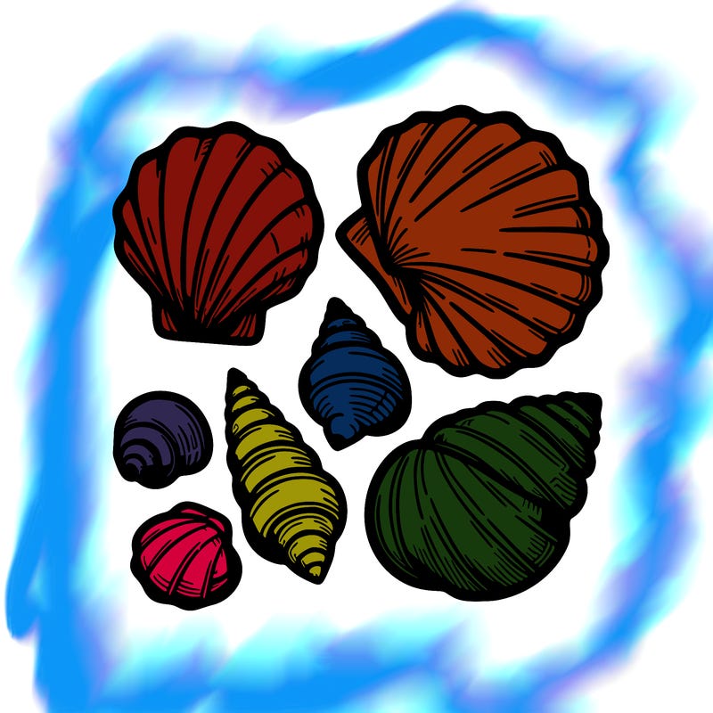 shells