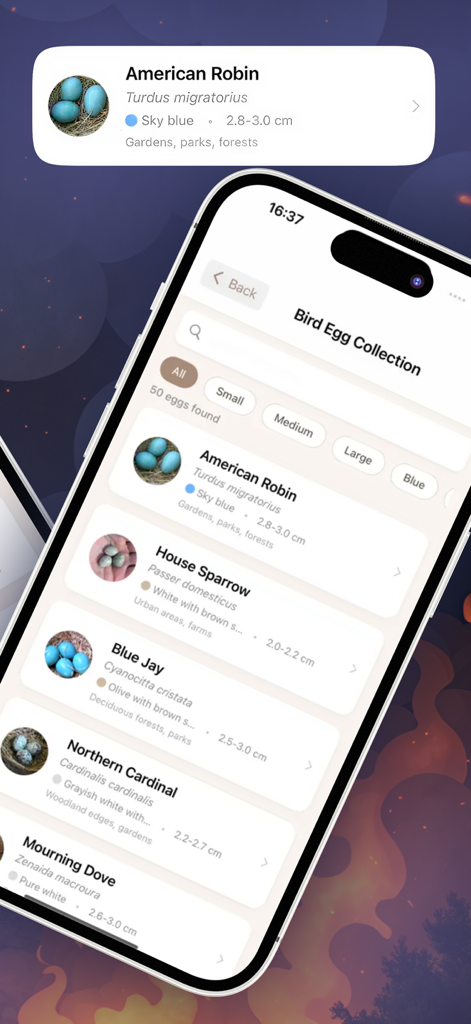 Bird Egg Collection Ai - アメリカコマドリやジェイなどの鳥の種とその対応する卵の識別詳細を表示するモバイルアプリインターフェイス。