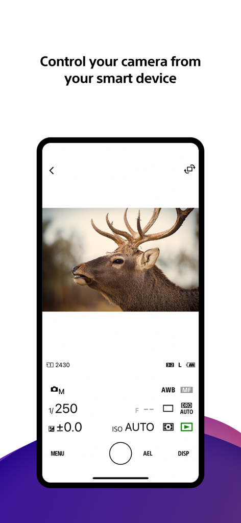 Smartphone screen showing the Sony Creators App remote camera control interface with manual photo settings and a live view of a deer